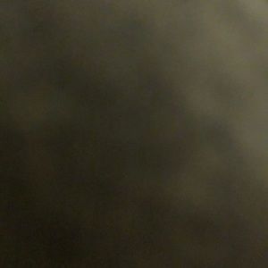 Meet your Posher, Dylan